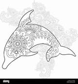 Dolphin Animal Doodle Stress Paisley Drawn Alamy Release Hand Adult sketch template