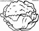 Cauliflower Coloring Pages Colorings sketch template