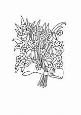 Forget Coloring Drawing Flower Pages Snowdrops Flowers Bouquet Getdrawings sketch template