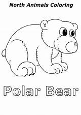 Polar Bear Coloring North Baby sketch template