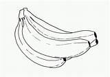 Banane Banana Bananas Dessiner Platano Coloriages Frutas Plátanos Cacho Pintarcolorear Primanyc Sabrosa Coloringkidz sketch template