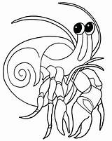 Crab Coloring Horseshoe Pages Getcolorings sketch template