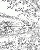 Coloring Pages Outdoors Adult Popular sketch template