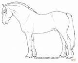 Welsh Pony Shetland Cob Ausmalbild Tegninger Hest Pferde Palomino Supercoloring Farvelægning sketch template