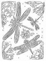 Pages Coloring Dragonfly Zentangle Adults Bright Teens Colors Favorite Choose Color sketch template