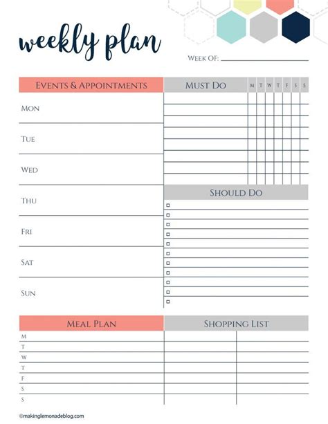 slayyyyy  goals   printable weekly planner organizes