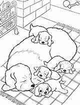 Cachorro Colorir Perritos Perros Desenhos Dicasboaspracachorro Animales sketch template