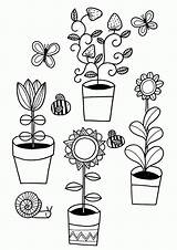 Coloring Garden Rhs sketch template