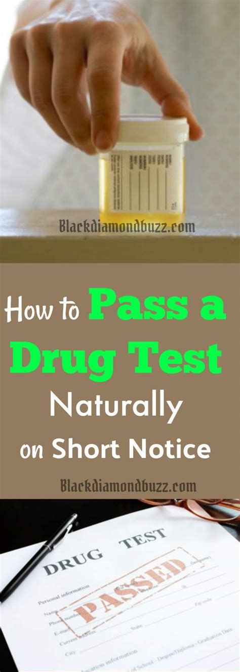 10 best ways on how to pass a drug test in 24 hours home