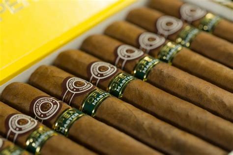 Surprising Facts About Smoking Cigars You Need To Know View The Vibe