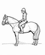 Horse Coloring Pages Rider Riding Girl Learning Drawing Print Animal Years English Pferde Back Saddle Animals Getdrawings Zum Ausmalen Climbing sketch template