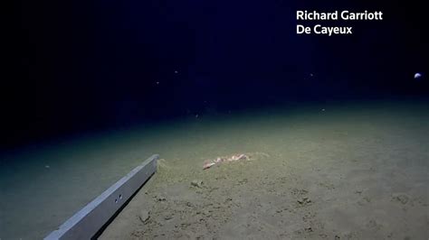 explorer reaches deepest point  earth video