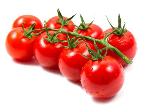 buy cherry tomato seeds   allthatgrows