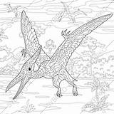 Pterosaur Dinosaur Pterodactyl Pterodactyls Colouring sketch template
