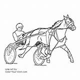 Horse Pacer Standardbred Coloring Harness Pages Color Pacing Walking Line Kids Sketch Index Template Own sketch template