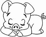 Pig Pigs Porco Everfreecoloring Print Schwein Beyblade Coloring4free Desenhar Escolha Porcos sketch template