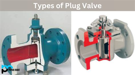 types  plug valve