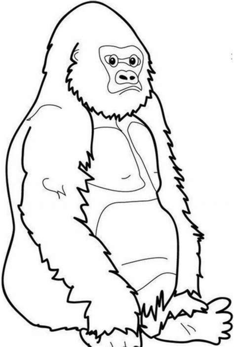 high quality gorilla clipart outline transparent png images