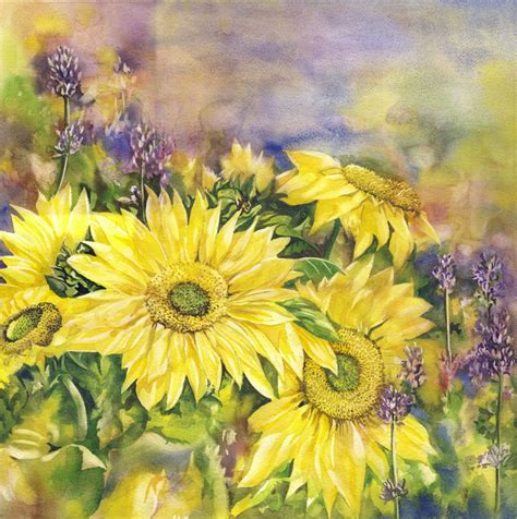 sunflowers  lavender  alfred ng artfinder