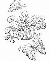 Coloring Pages Spring Adult sketch template