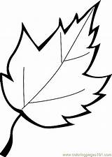 Leaf Coloring Printable Fall Clipart Time sketch template
