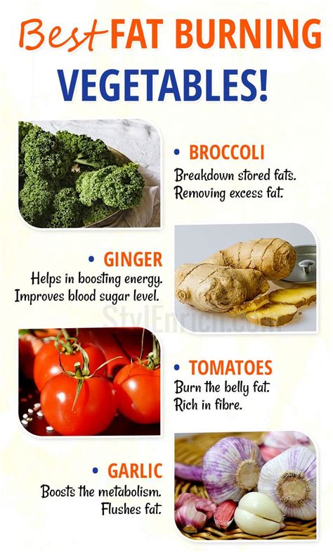 Fat Content In Vegetables Hidden Dorm Sex