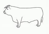Coloring Bull Drawing Blogthis Email Twitter Bulls sketch template