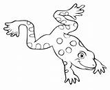 Frosch Frog Ausdrucken Ausmalbilder Malvorlagen Ausmalbild Kiddo sketch template