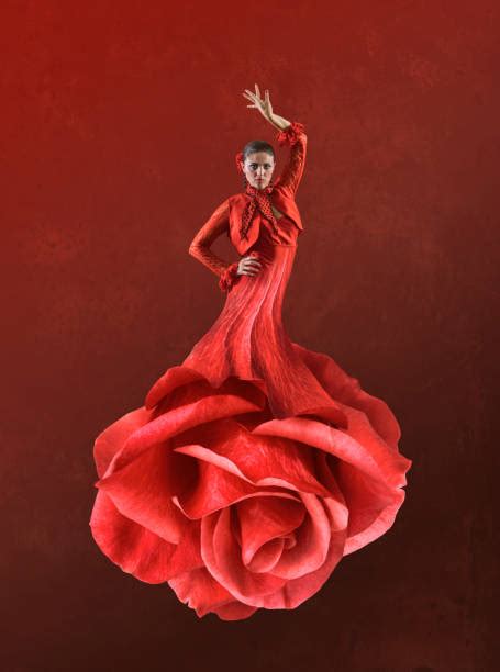 danseuse flamenco banque d images et photos libres de droit istock