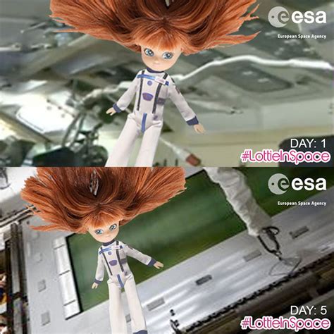 Stargazer Lottie Toy Declared First Doll In Space After Launch To