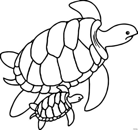 sea turtle coloring page  getdrawings