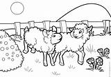 Schafe Oi Oveja Pecore Sheep Colorat Coloring Dzieci Owca Kolorowania Drucken Tipareste Malvorlagenxl Owce Kolorowanki sketch template