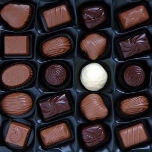 sjokolade coklat krimer  membuat coklat batang  coklat bubuk