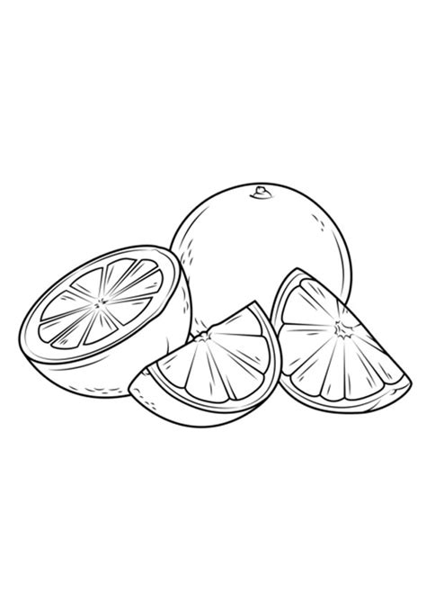 coloring pages orange fruit coloring page  kids