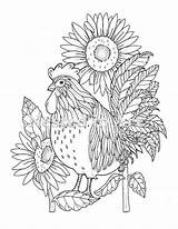 Coloring Pages Adult Chicken Sunflowers Sunflower Printable Book Books Choose Board sketch template