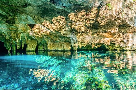 cenotes  ideal place  beat  heat   riviera maya mexico