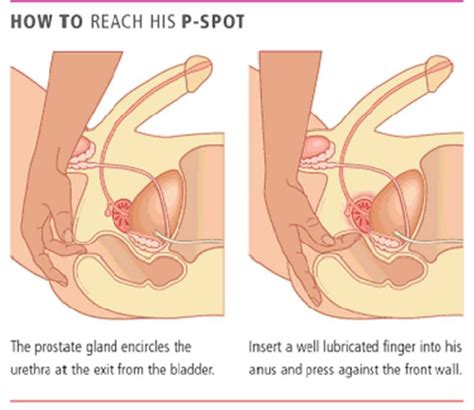 male prostate massage