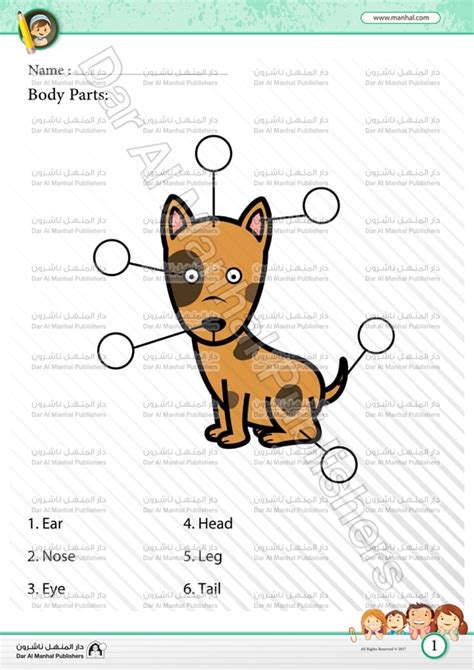body parts dog science worksheets