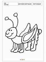 Preschool Ant Coloring Pages Printable sketch template