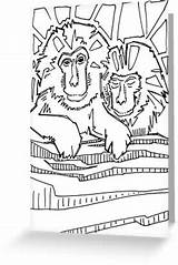 Macaque Coloring Japanese 415px 42kb sketch template