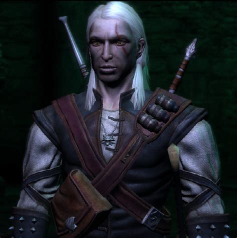 Geralt Of Rivia The Average Gamer