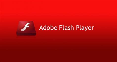 important       adobe flash player   date master herald