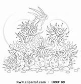 Sea Anemone Coloring Fish Anemones Clipart Outlined Over Designlooter Royalty Poster Print Pink Red 31kb 470px Bannykh Alex sketch template