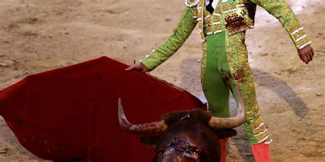 brave woman jumps into bullfighting ring to comfort dying bull in