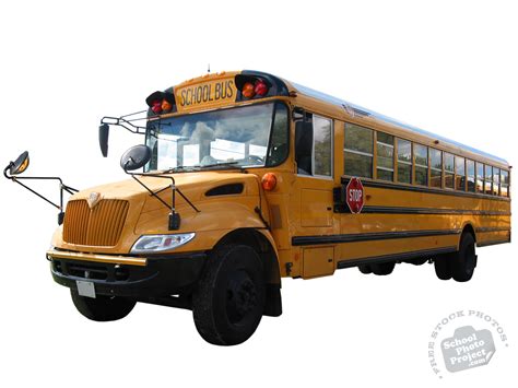 school bus  stock photo image picture school bus royalty  car stock photography