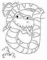 Coloring Pages Kids Snake Python Ball sketch template