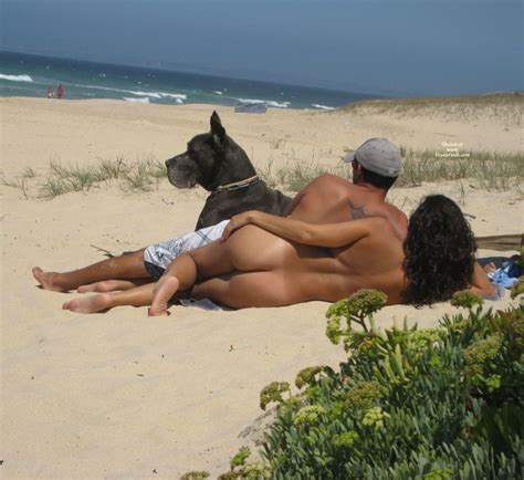on the beach november 2012 voyeur web