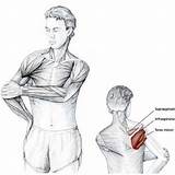 Stretches Rotator Elbow Estiramientos Tension Estiramiento Supraspinatus Shoulders Cuello Hombros Infraspinatus Subscapularis Skimble Bamail Manguito Hombro Rotador Músculo Mundoamores Dralexjimenez sketch template