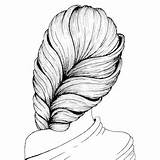 Dessin Acconciatura Chignon Coiffure Cheveux Drawn Disegnato Femminile Vettore sketch template
