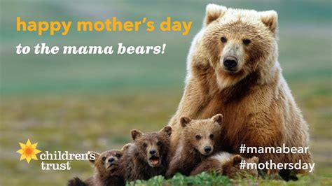 mama bear mother s day youtube